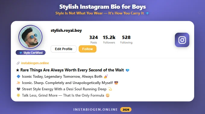 Stylish Instagram Bio for Boys